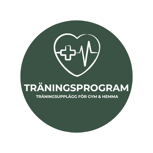 Träningsprogram