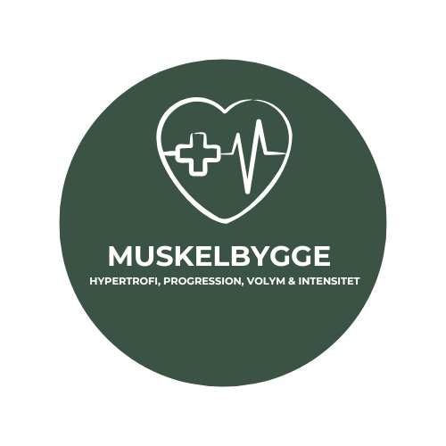 Muskelbygge